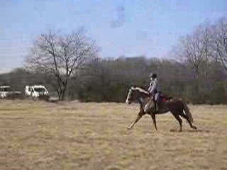 Kytsie entraînement galop