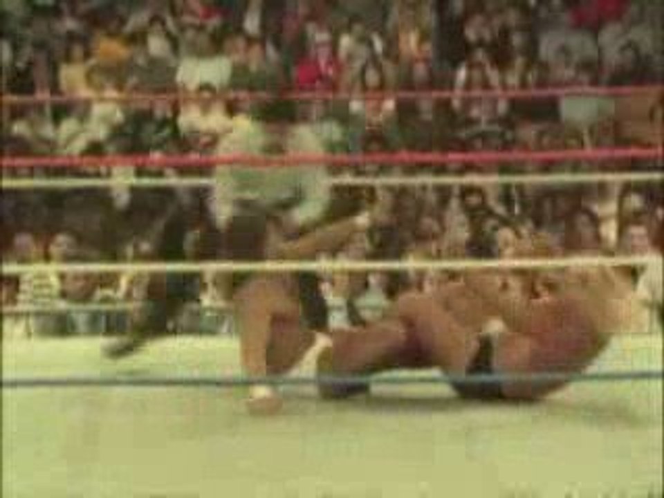 Greg Valentine Titantron