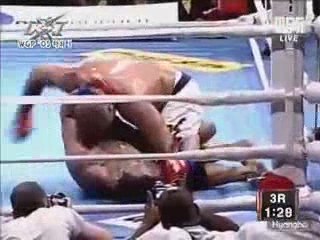 BJ Penn Vs. Renzo Gracie part2