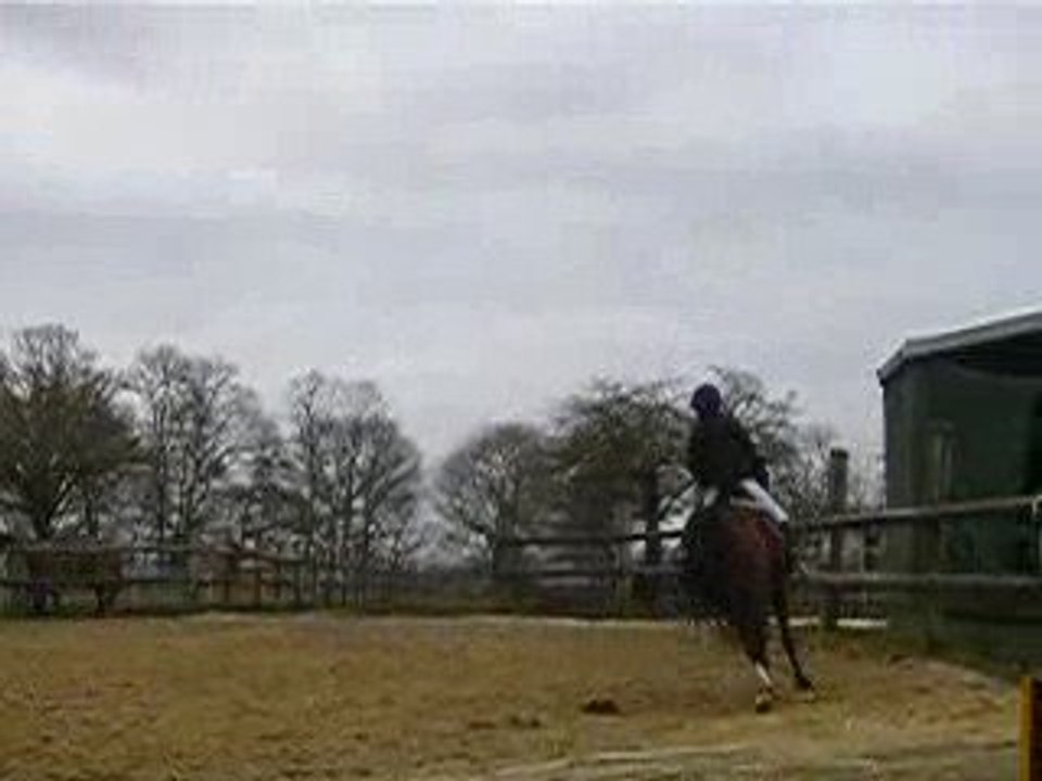 Renwee et Estelle au galop