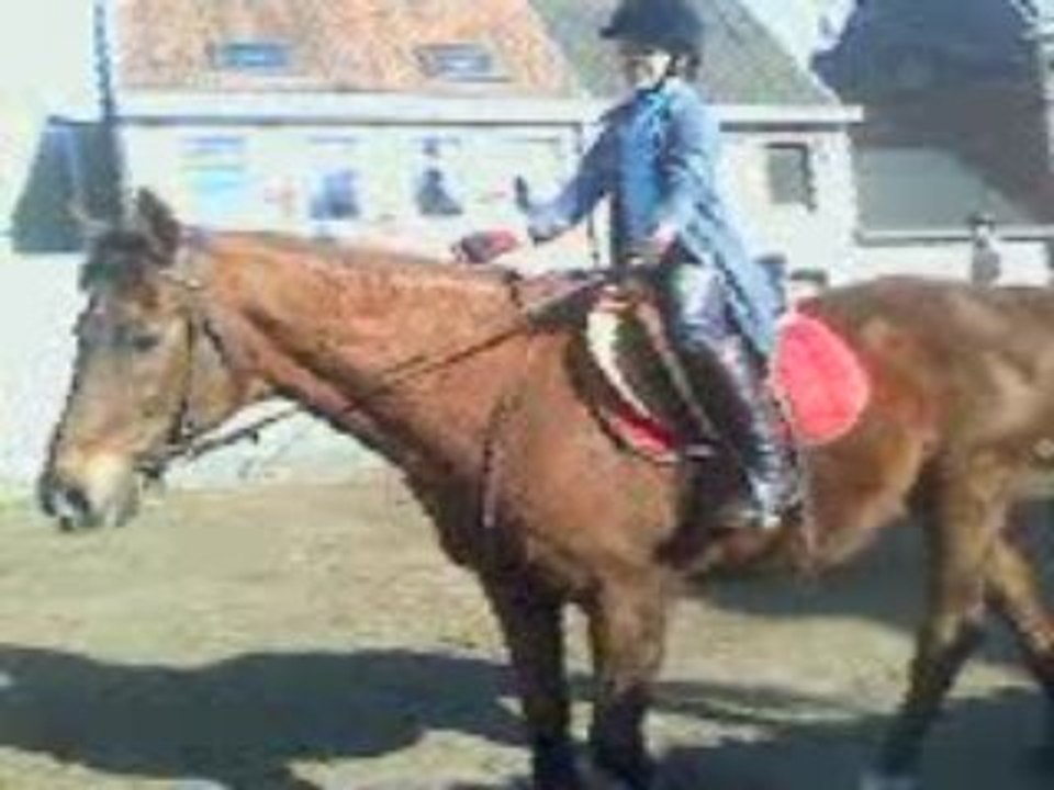 Petit trot Leadon Hidalgo