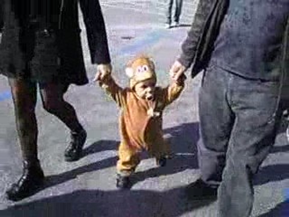 petit lion
