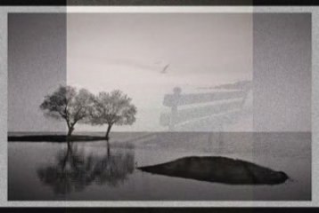 evanescence-field of innocence