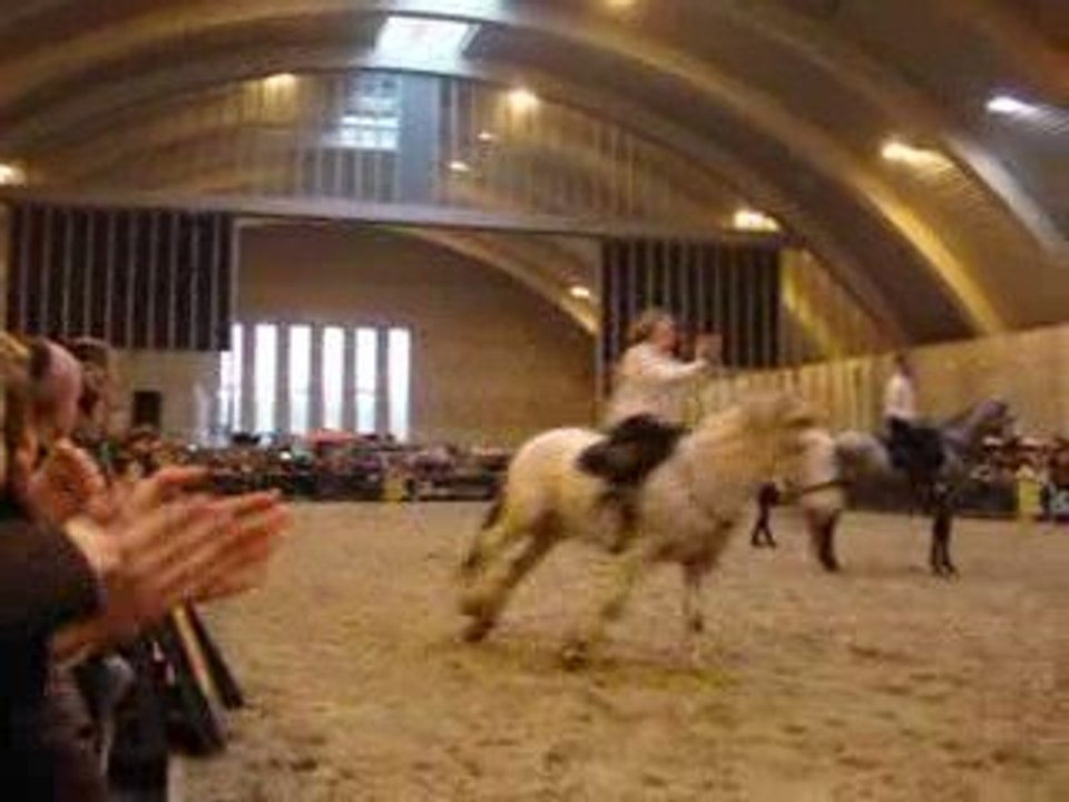 Musée du cheval