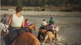 Promenade à cheval entre amis