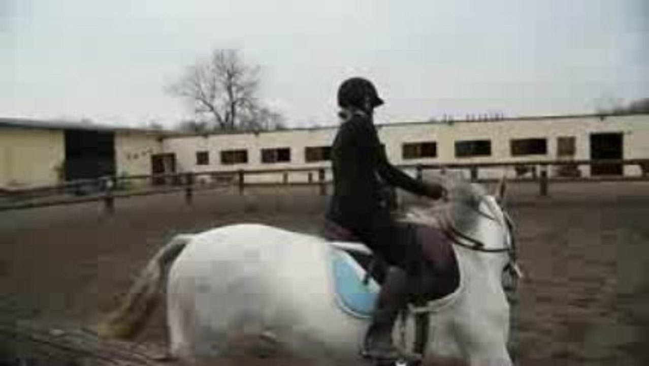 SDC10904