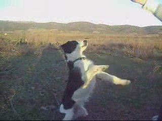 Obérythmée Choupa - Du 15.02 au 14.03