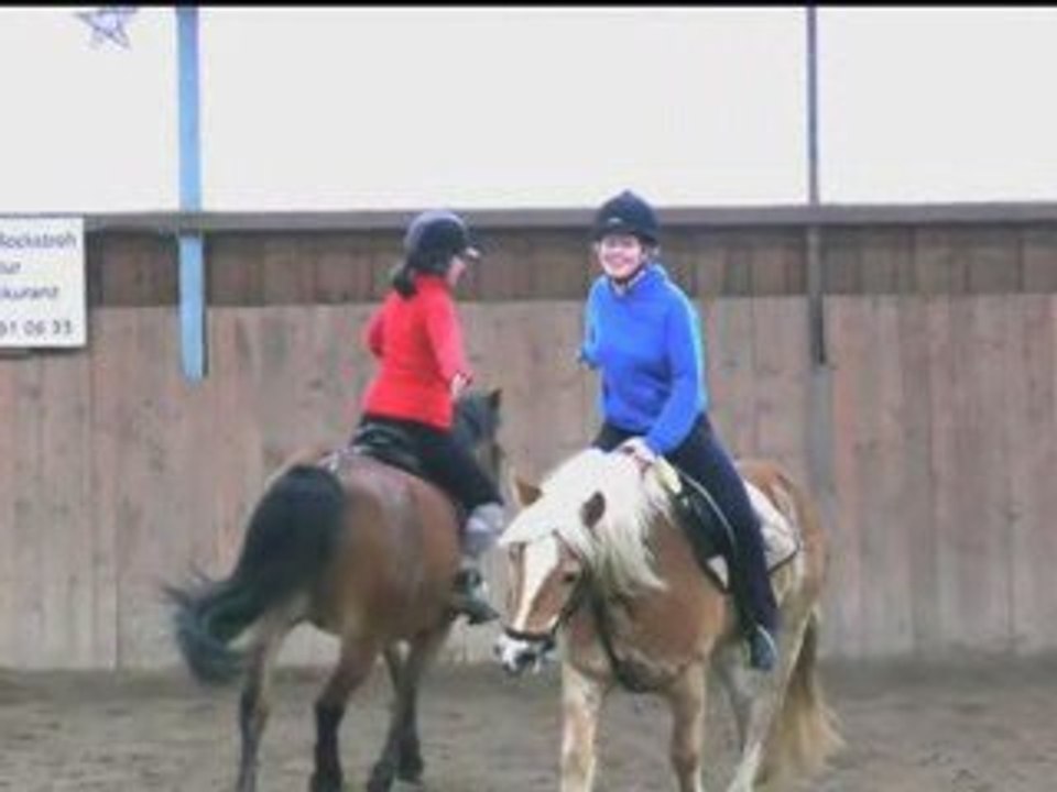 Mounted Games Reiten in Leipzig (Sachsen)