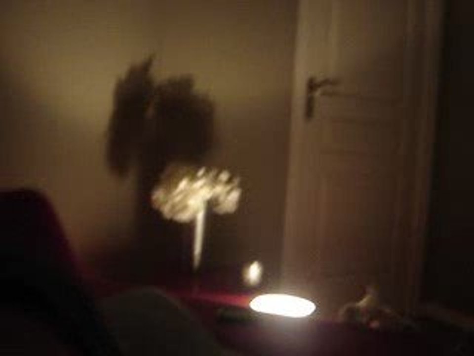 Photo 013