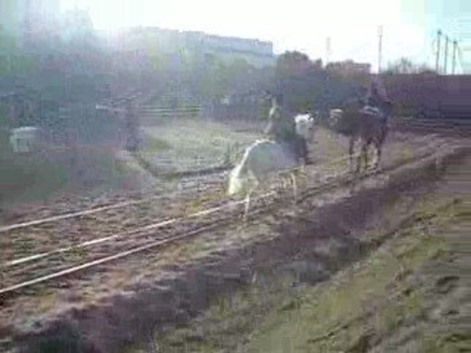 étoile et moi au petit galop