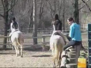 Toto & Moi en dressage