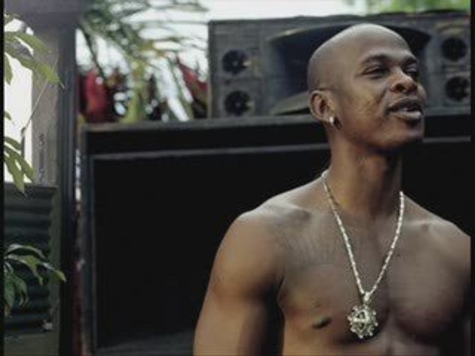 Mr.Vegas- Lean with it