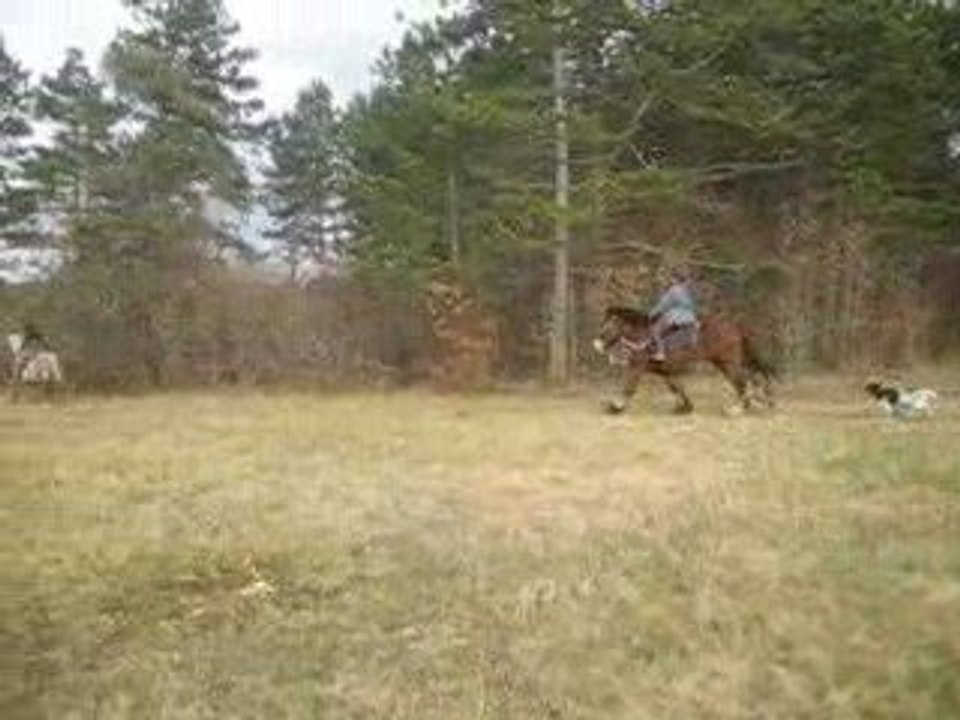 Sortie chevaux nathalie 021