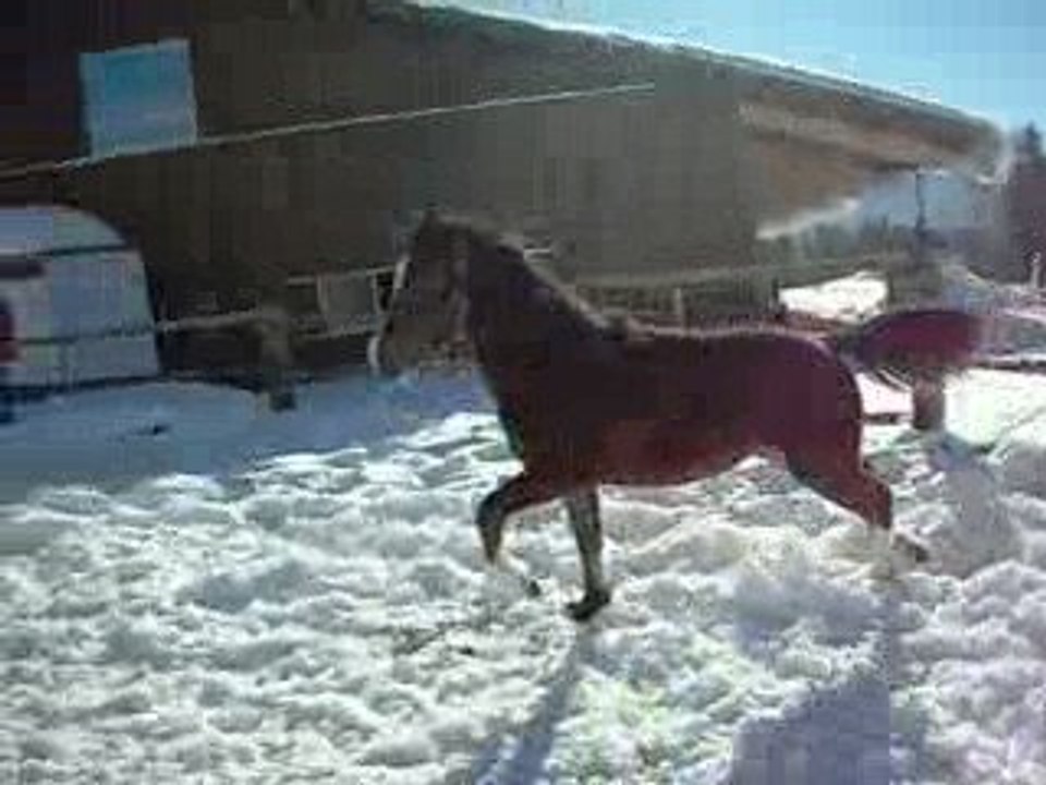 petite Soraya fofolle ;)