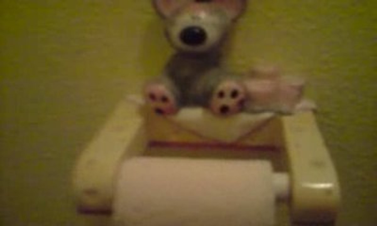 les toilettes chez Gwenaouelle