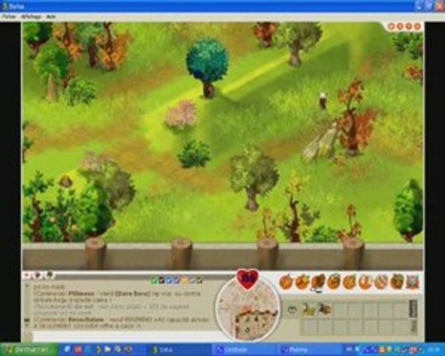 Dofus - Xelor feu  lvl 34