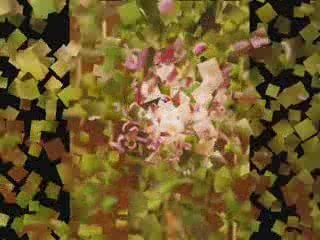 jardin avec en arriere fond masaladosa