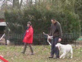 Draco en agility avec Cyrille