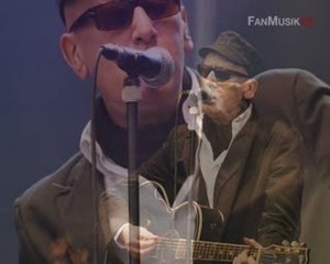 Hommage à Alain Bashung (Fête de l'Huma 2008)