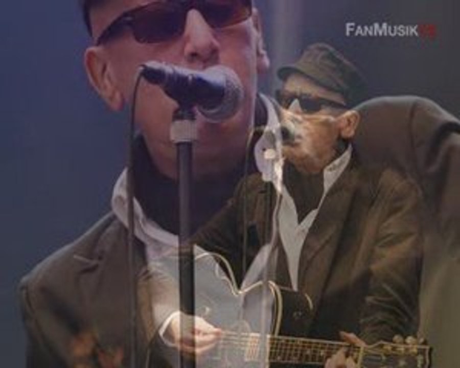 Hommage à Alain Bashung (Fête de l'Huma 2008)