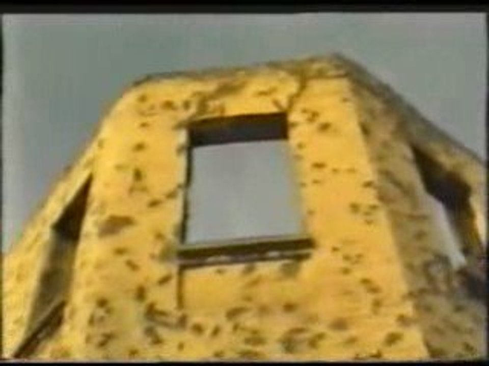 Mariam Tashaeva - Nohchi Immigrantshan yish(Chechen song)