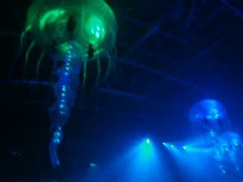 Sensation White 2009 @Hasselt (BE) 05