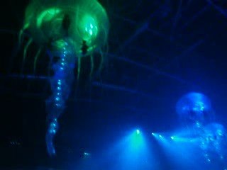 Sensation White 2009 @Hasselt (BE) 05