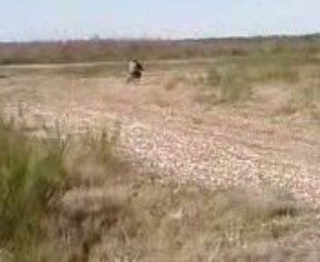 MOI NICO ET MON ZINC LOLO