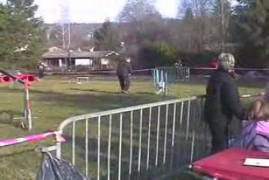 Salsa Open Agility Cote St Andre 14/03/2009