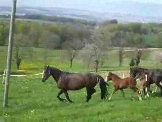 Soraya toute petite au parc