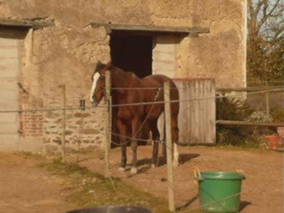 Dimanche 15 Mars_0001