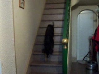 FOSSETTE descend escaliers-2