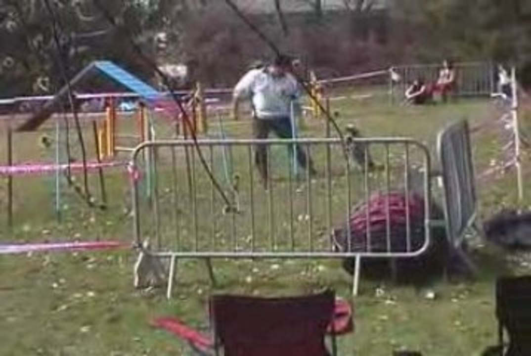 Blueberry Degre Agility Cote St André 14/03/2009