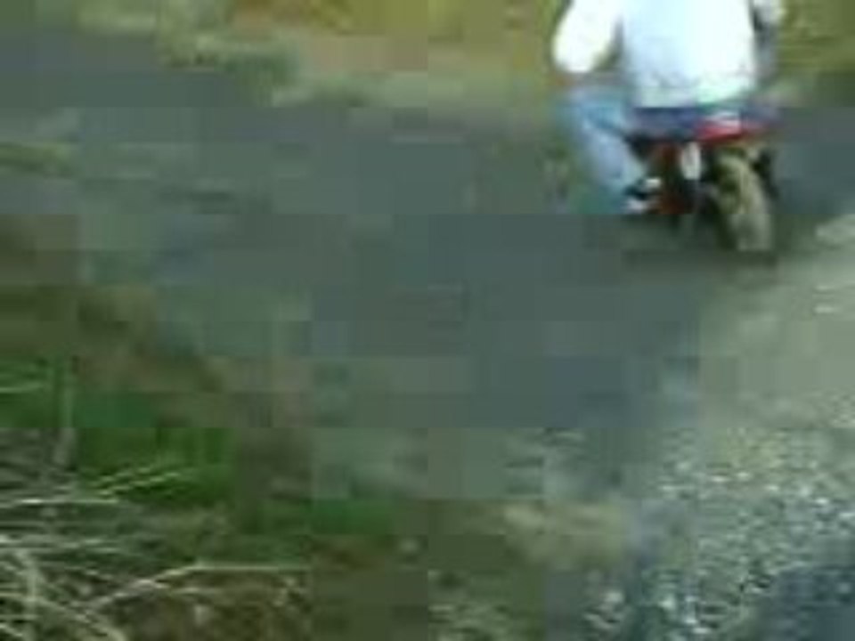 damien le pilot de moto cross