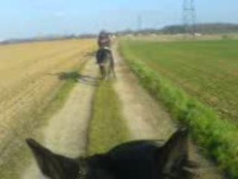 Dimanche15mars (1)