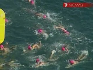 Swimmers' shark encounter in Australia