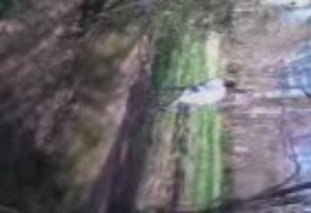 Vidéo003