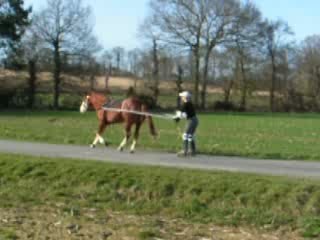 Roller Joering