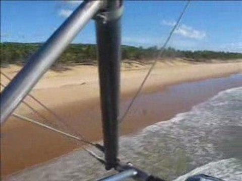 Rase mottes plage cocotiers