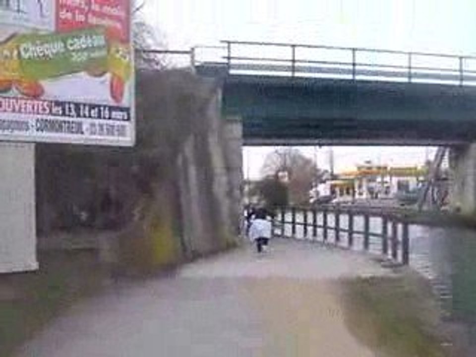 une grenouille qui court