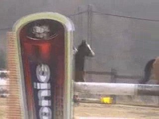 Cybelle tour d'honneur 90Cm