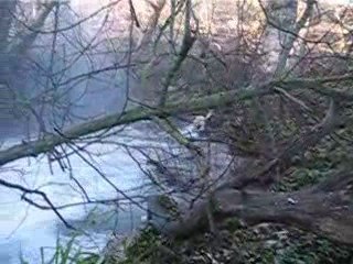 Rio Cerezo 11.02-2009