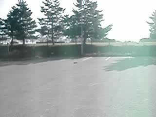 Tamiya vitesse de pointe rc