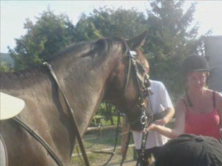 Farouk x3: Peti Loup Collaboration