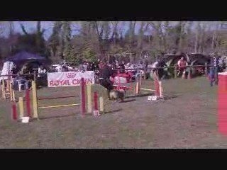 Miramas Jumping baxter