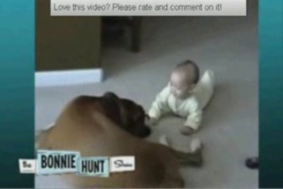 BabyDog