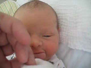 El instinto de succión