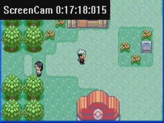 Pokemon le verre de trop XD