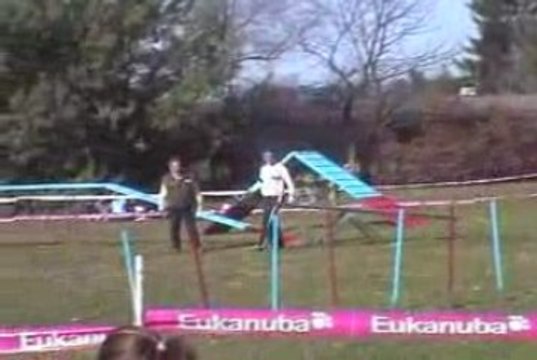 Boom Open Agility Cote St André 14/03/2009