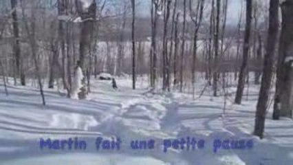 Courses de raquettes